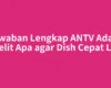Jawaban Lengkap ANTV Ada di Satelit Apa agar Dish Cepat Lock