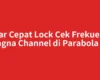 Agar Cepat Lock Cek Frekuensi Magna Channel di Parabola Ini