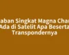 Jawaban Singkat Magna Channel Ada di Satelit Apa Beserta Transpondernya