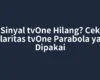 Sinyal tvOne Hilang? Cek Polaritas tvOne Parabola yang Dipakai