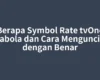 Berapa Symbol Rate tvOne Parabola dan Cara Menguncinya dengan Benar