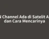 BN Channel Ada di Satelit Apa dan Cara Mencarinya