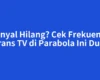 Sinyal Hilang? Cek Frekuensi Trans TV di Parabola Ini Dulu