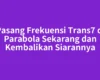 Pasang Frekuensi Trans7 di Parabola Sekarang dan Kembalikan Siarannya