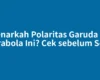 Benarkah Polaritas Garuda TV Parabola Ini? Cek sebelum Scan