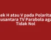 Cek H atau V pada Polaritas Nusantara TV Parabola agar Tidak Nol