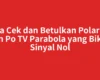 Cara Cek dan Betulkan Polaritas Sin Po TV Parabola yang Bikin Sinyal Nol